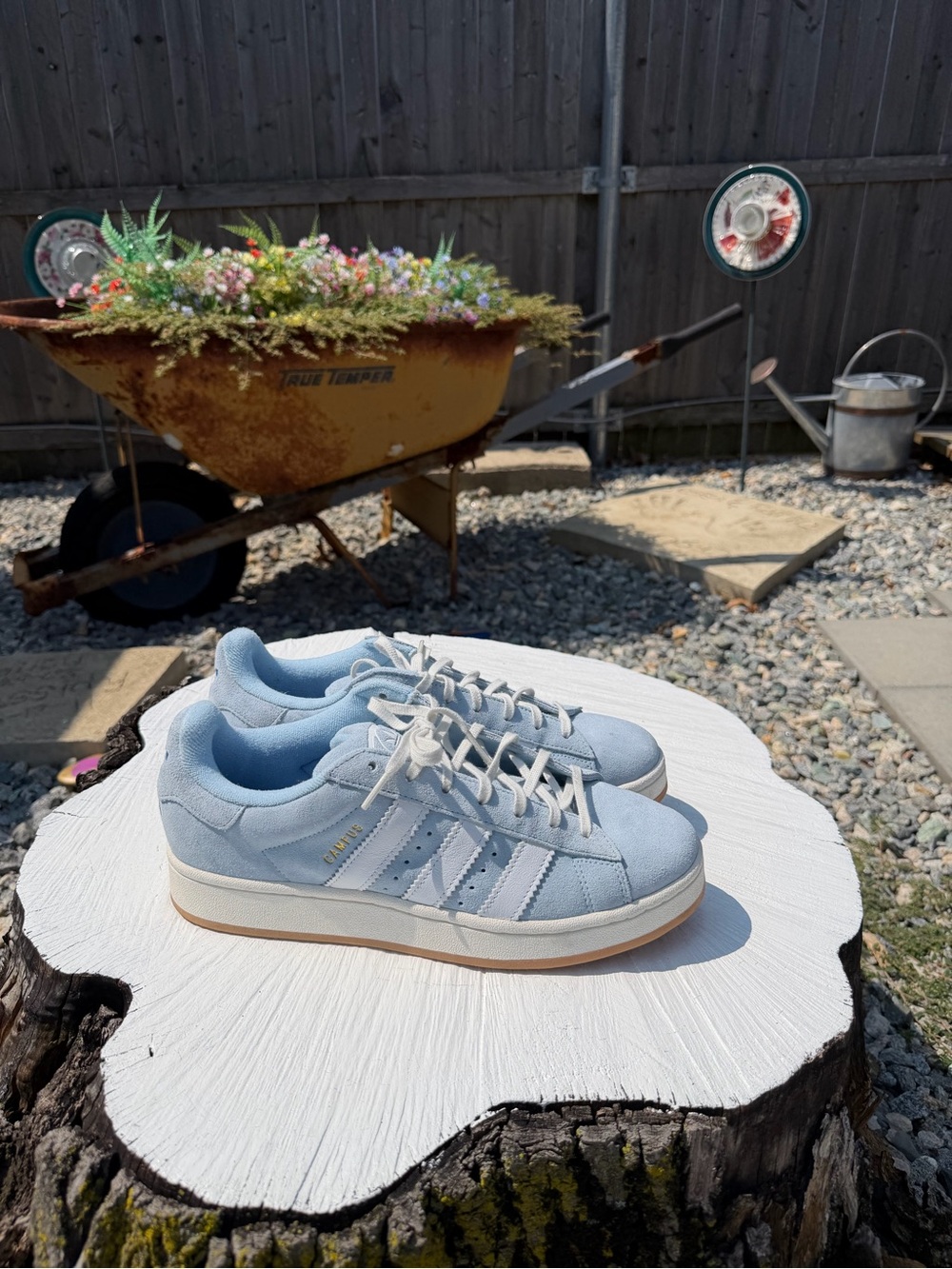 Adidas Campus Light Blue